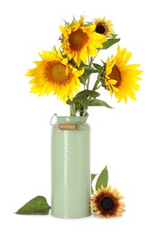 Photo of Beautiful sunflowers in can used as vase isolated on white
