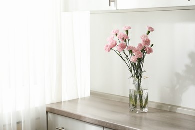 Photo of Beautiful carnation flowers in glass vase on wooden cabinet indoors, space for text