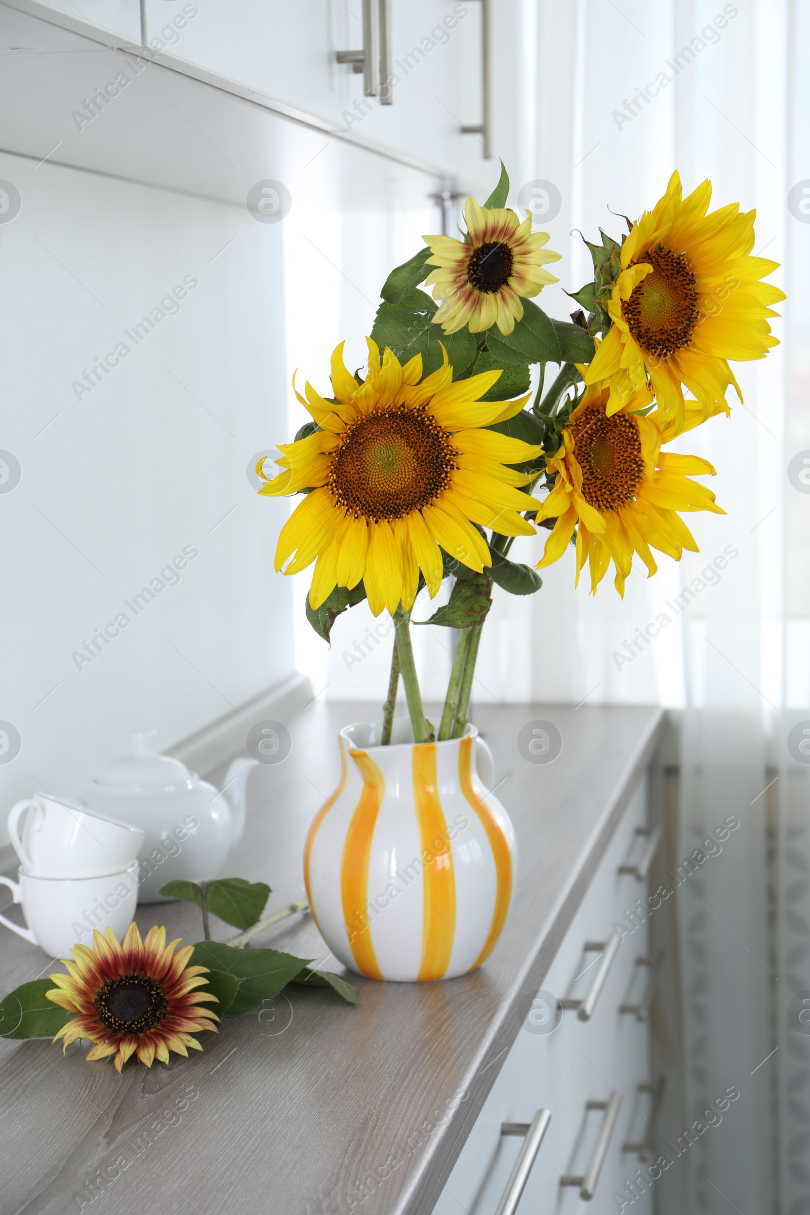 Beautiful sunflowers in jug on wooden cabinet indoors Photo of Beautiful sunflowers in jug on wooden cabinet indoors