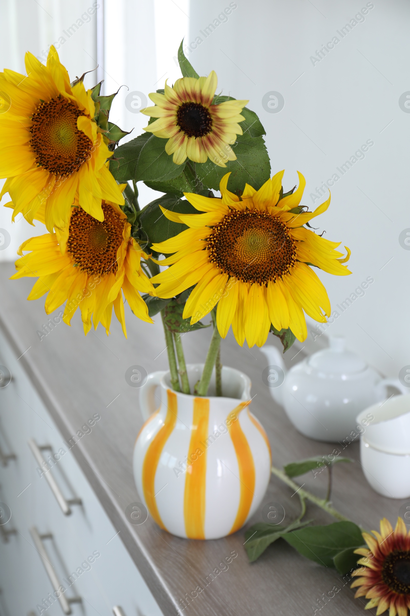 Beautiful sunflowers in jug on wooden cabinet indoors, closeup Photo of Beautiful sunflowers in jug on wooden cabinet indoors, closeup