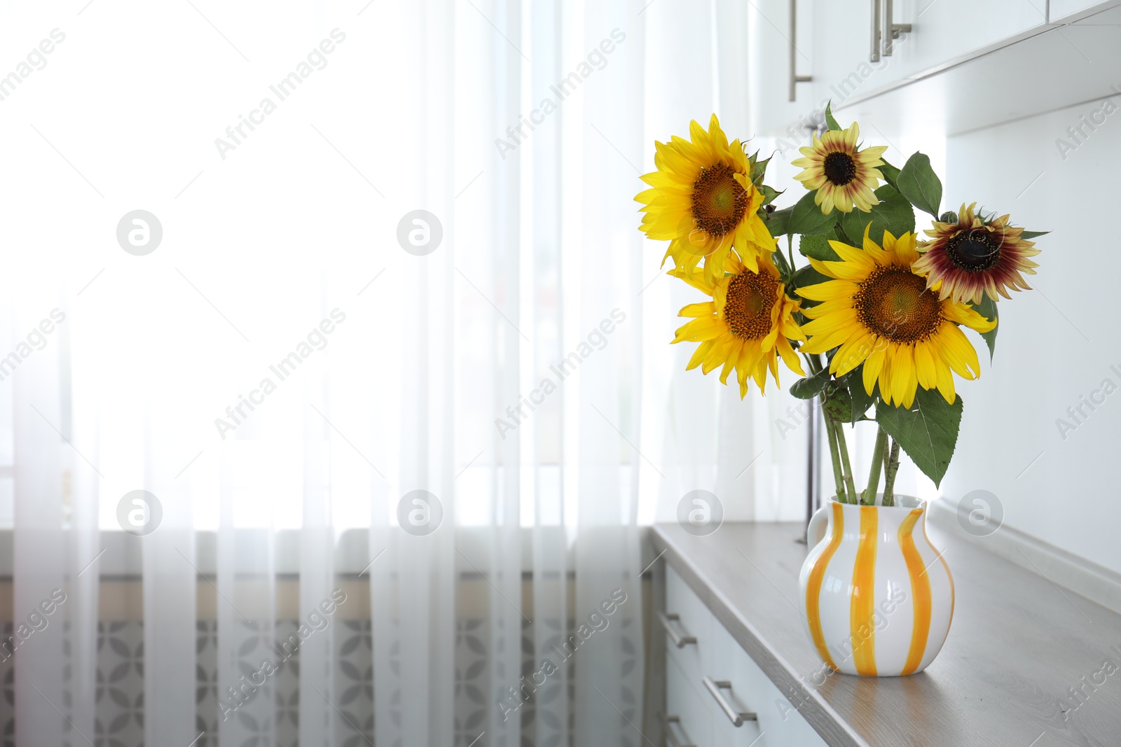Beautiful sunflowers in jug on wooden cabinet indoors, space for text Photo of Beautiful sunflowers in jug on wooden cabinet indoors, space for text