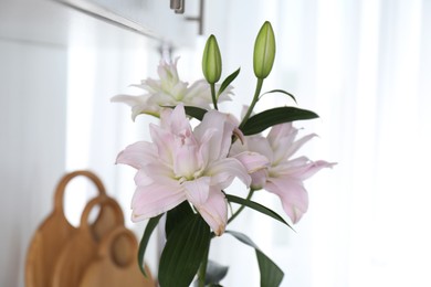 Photo of Beautiful lily flowers at home, closeup view