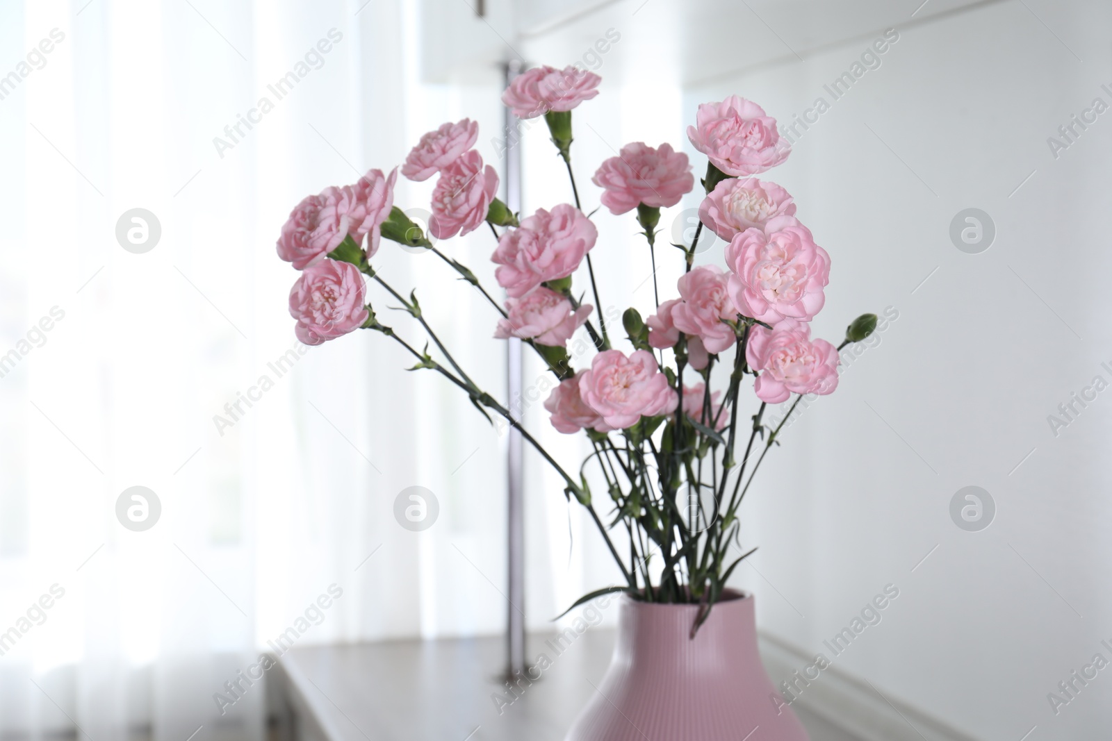 Beautiful carnation flowers in vase indoors, closeup Photo of Beautiful carnation flowers in vase indoors, closeup