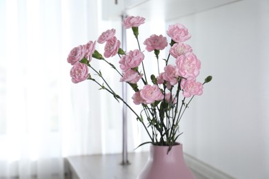 Photo of Beautiful carnation flowers in vase indoors, closeup