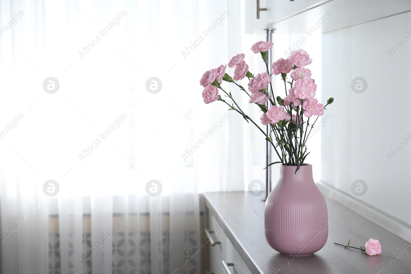 Beautiful carnation flowers in vase on wooden cabinet indoors, space for text Photo of Beautiful carnation flowers in vase on wooden cabinet indoors, space for text