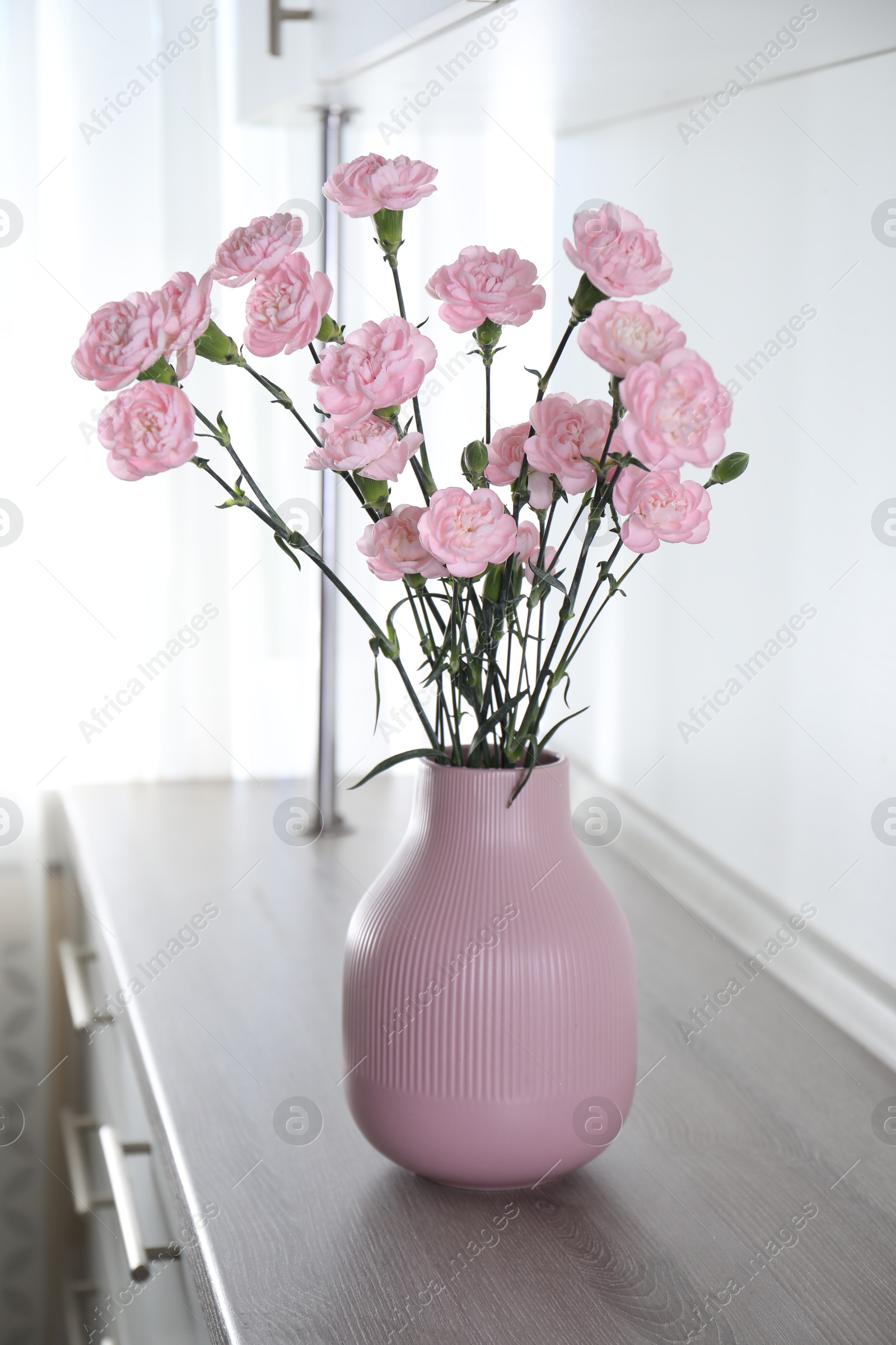 Photo of Beautiful carnation flowers in vase on wooden cabinet indoors