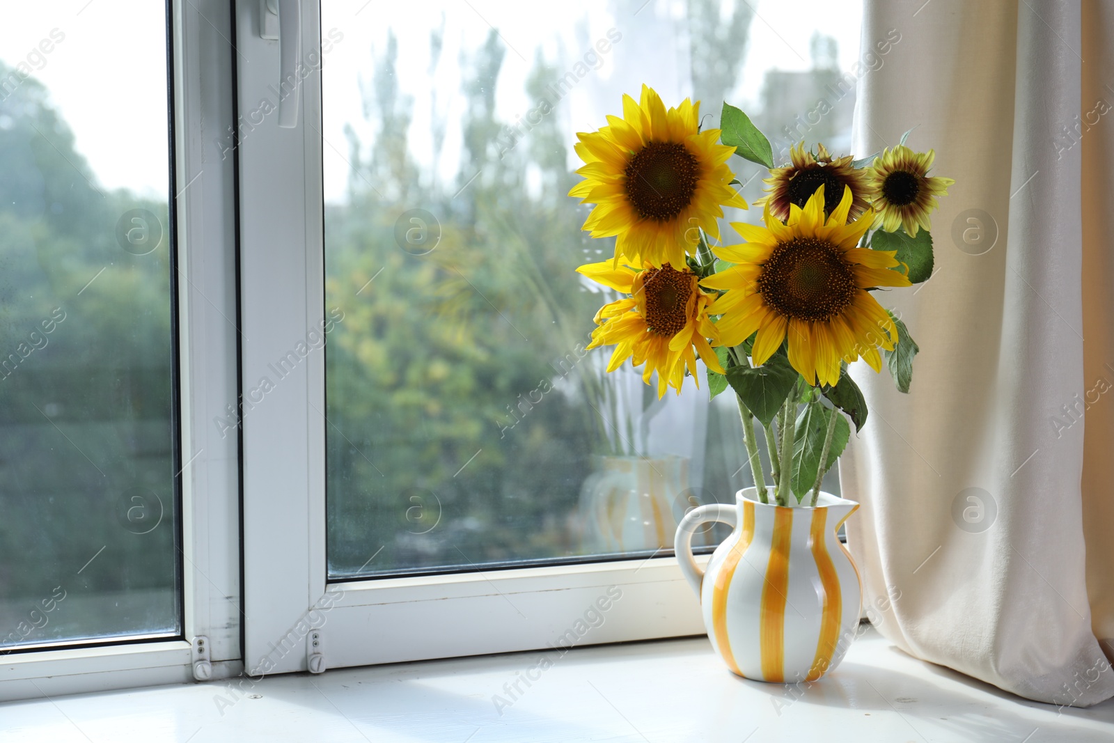 Photo of Beautiful sunflowers in jug near window indoors, space for text
