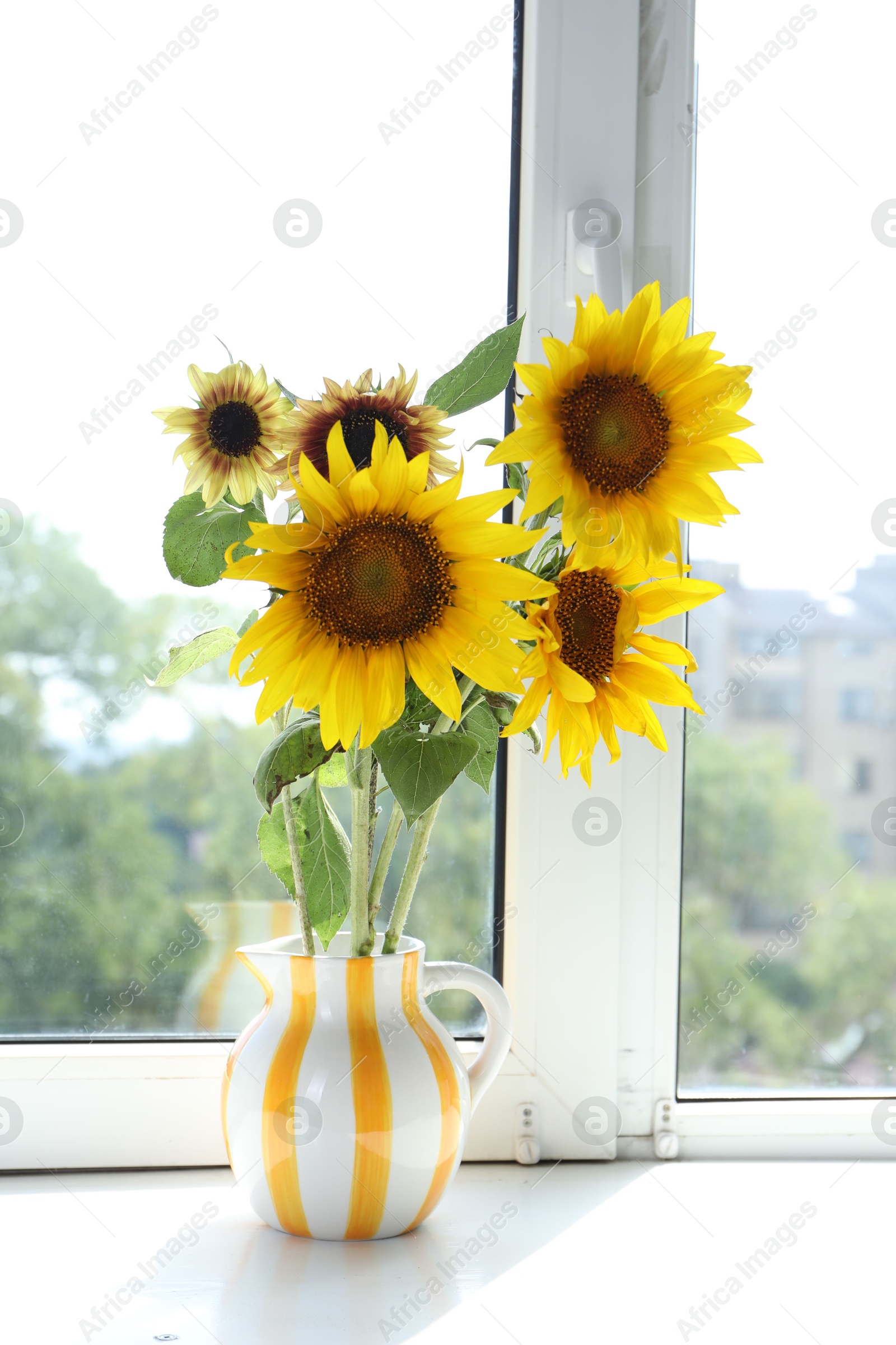 Photo of Beautiful sunflowers in jug near window indoors