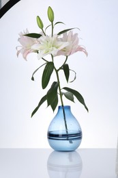 Photo of Beautiful lily flowers in glass vase on white background