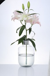 Photo of Beautiful lily flowers in glass vase on white background
