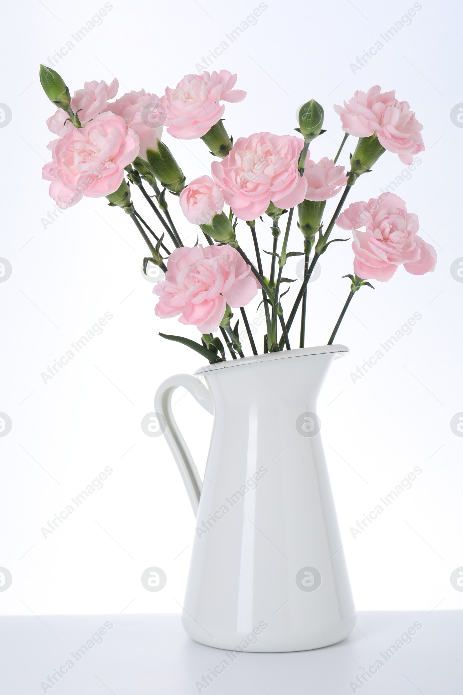 Beautiful carnation flowers in jug on white background Photo of Beautiful carnation flowers in jug on white background