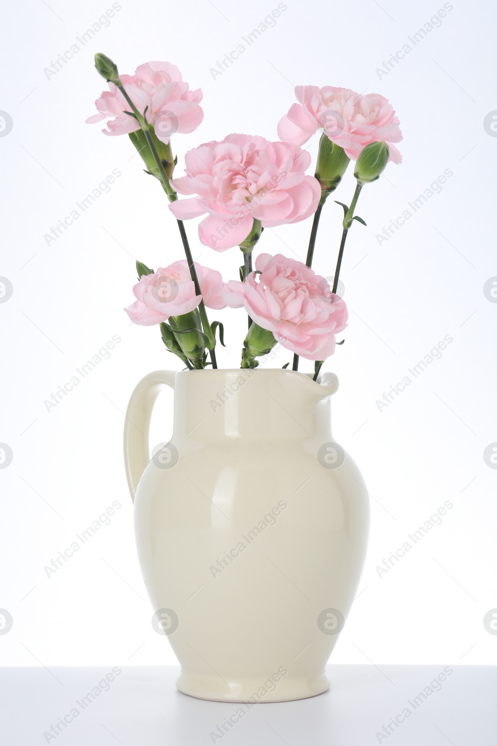 Beautiful carnation flowers in jug on white background Photo of Beautiful carnation flowers in jug on white background