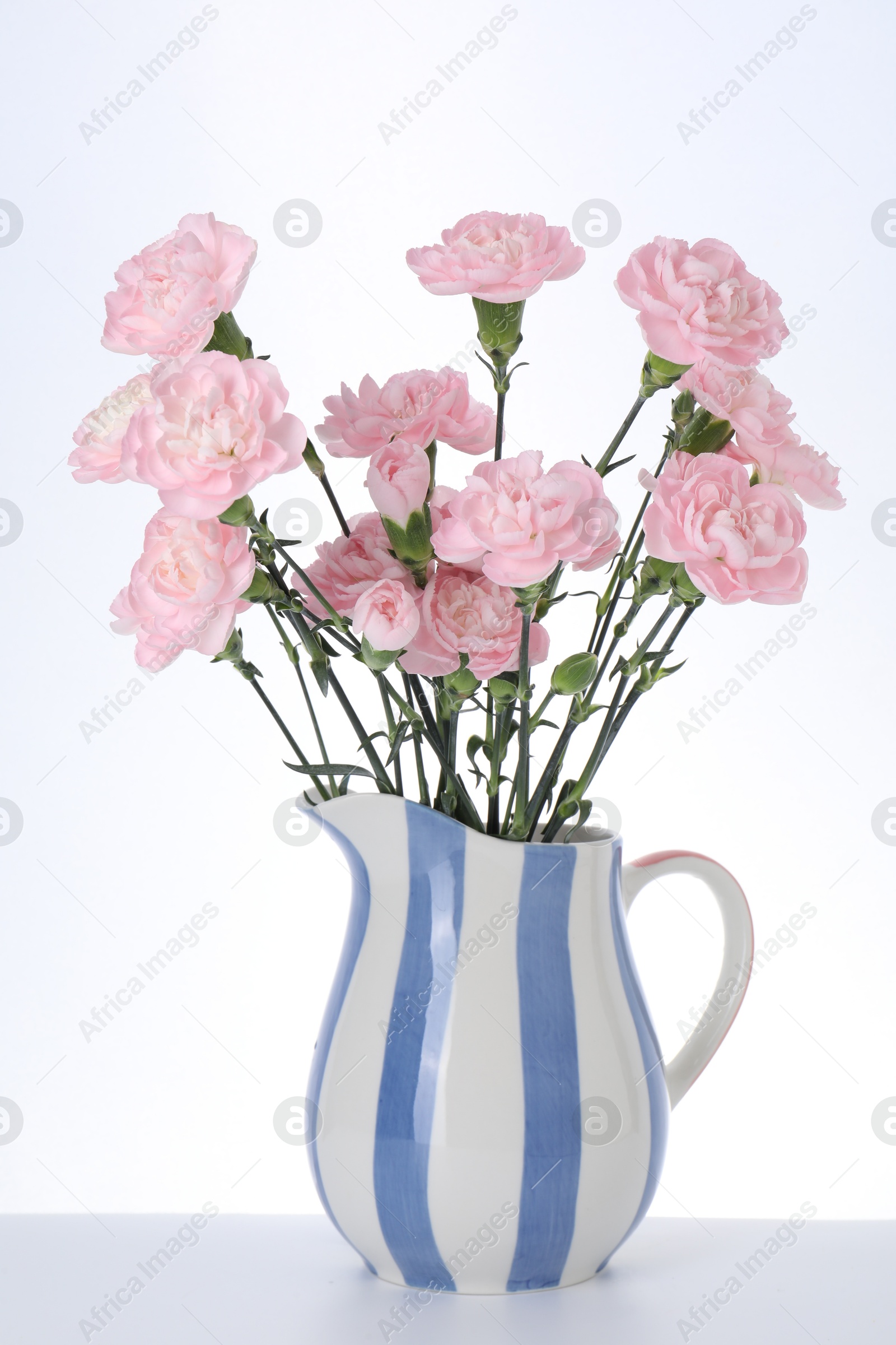 Beautiful carnation flowers in jug on white background Photo of Beautiful carnation flowers in jug on white background
