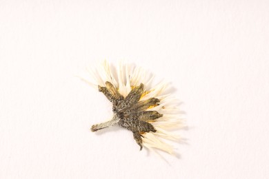 Photo of Beautiful dry daisy flower on white background, top view