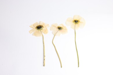 Photo of Beautiful dry poppy flowers on white background, top view
