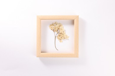 Photo of Beautiful dry hydrangea flowers in picture frame on white background, top view
