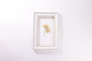 Photo of Beautiful dry hydrangea flowers in picture frame on white background, top view