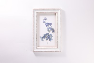 Photo of Beautiful dry hydrangea flowers in picture frame on white background, top view