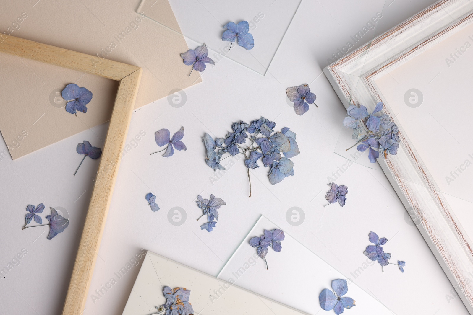 Beautiful dry hydrangea flowers and picture frame elements on white background, flat lay Photo of Beautiful dry hydrangea flowers and picture frame elements on white background, flat lay