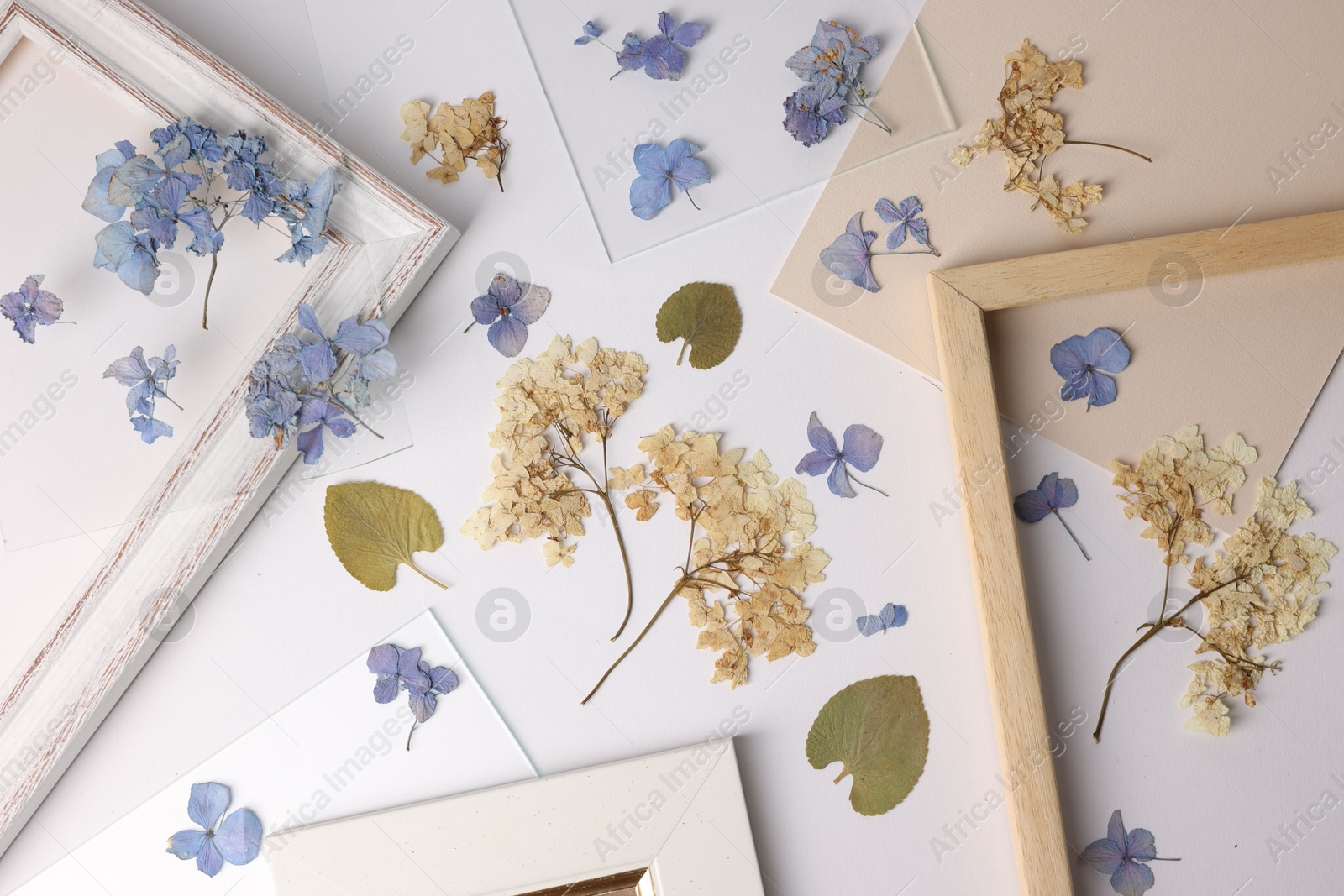 Beautiful dry flowers, green leaves and picture frame elements on white background, flat lay Photo of Beautiful dry flowers, green leaves and picture frame elements on white background, flat lay