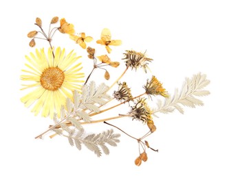 Photo of Beautiful dry flowers and green leaves isolated on white, top view