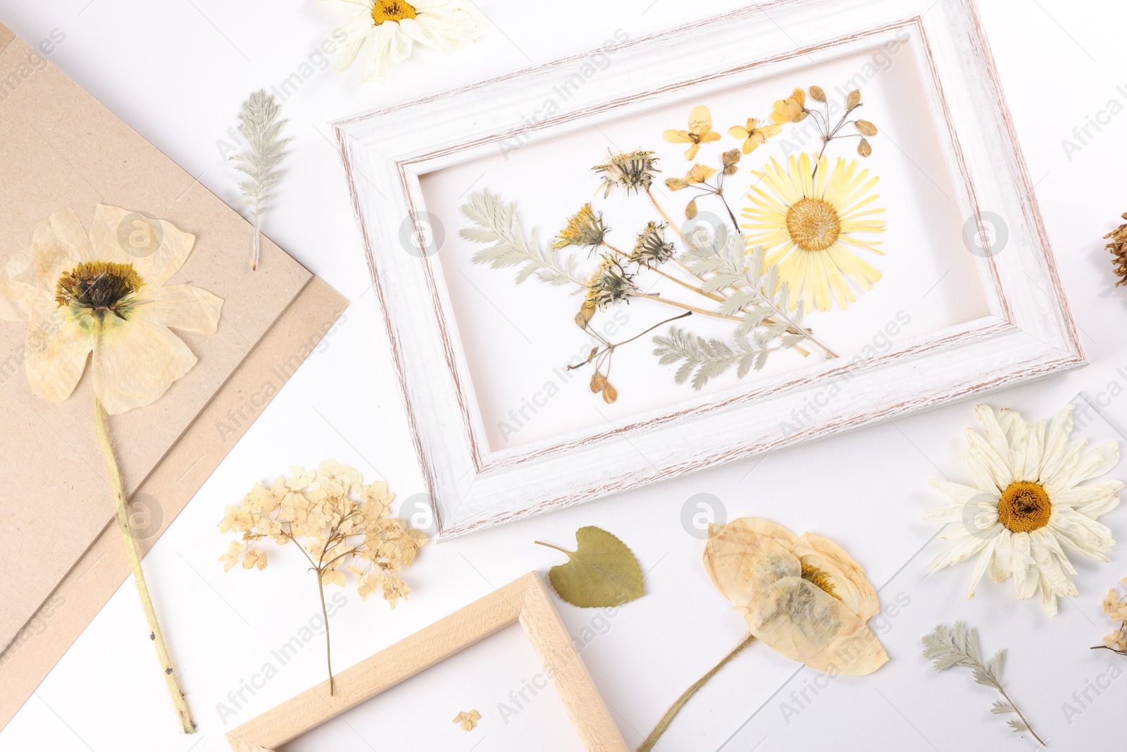 Beautiful dry flowers, green leaves and picture frame elements on white background, flat lay Photo of Beautiful dry flowers, green leaves and picture frame elements on white background, flat lay