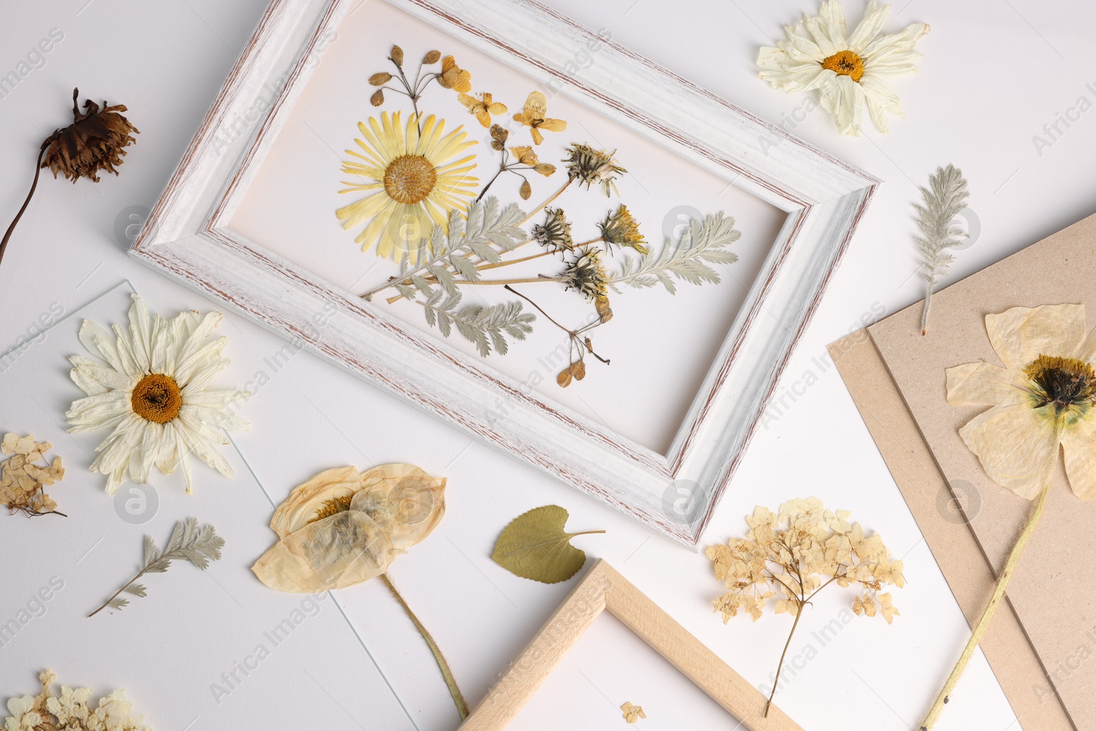 Beautiful dry flowers, green leaves and picture frame elements on white background, flat lay Photo of Beautiful dry flowers, green leaves and picture frame elements on white background, flat lay