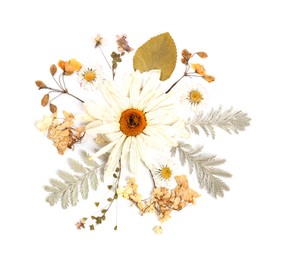 Photo of Beautiful dry flowers and green leaves isolated on white, top view