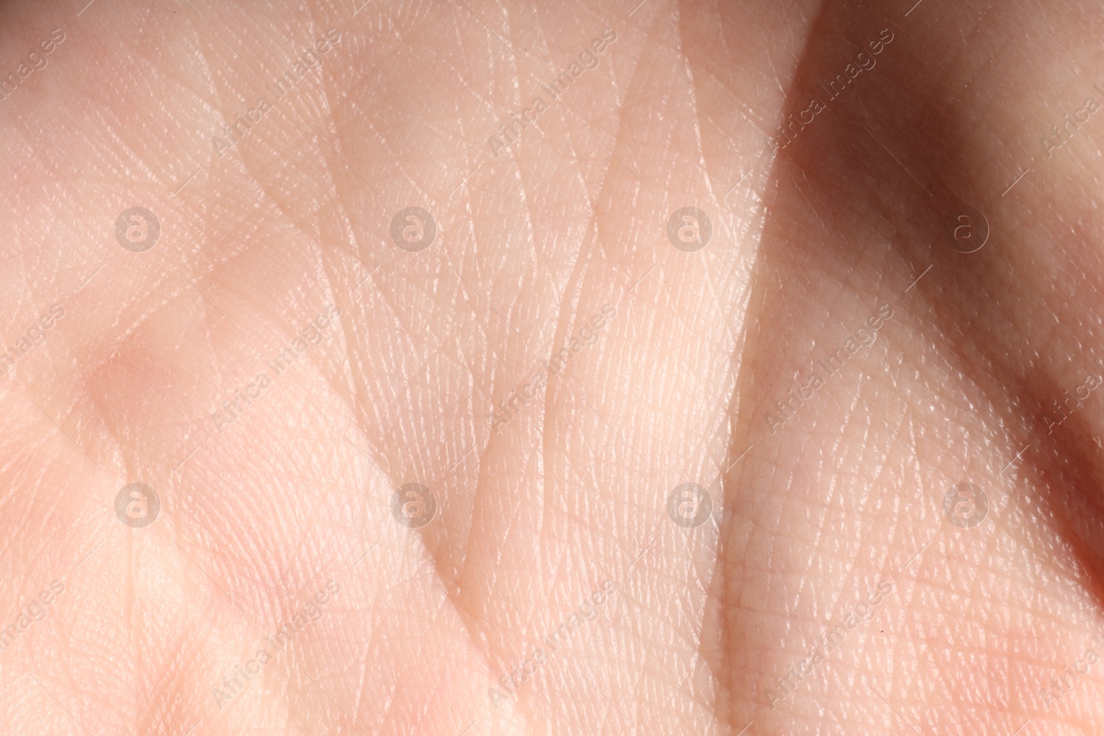 Macro view of human palm skin as background Photo of Macro view of human palm skin as background