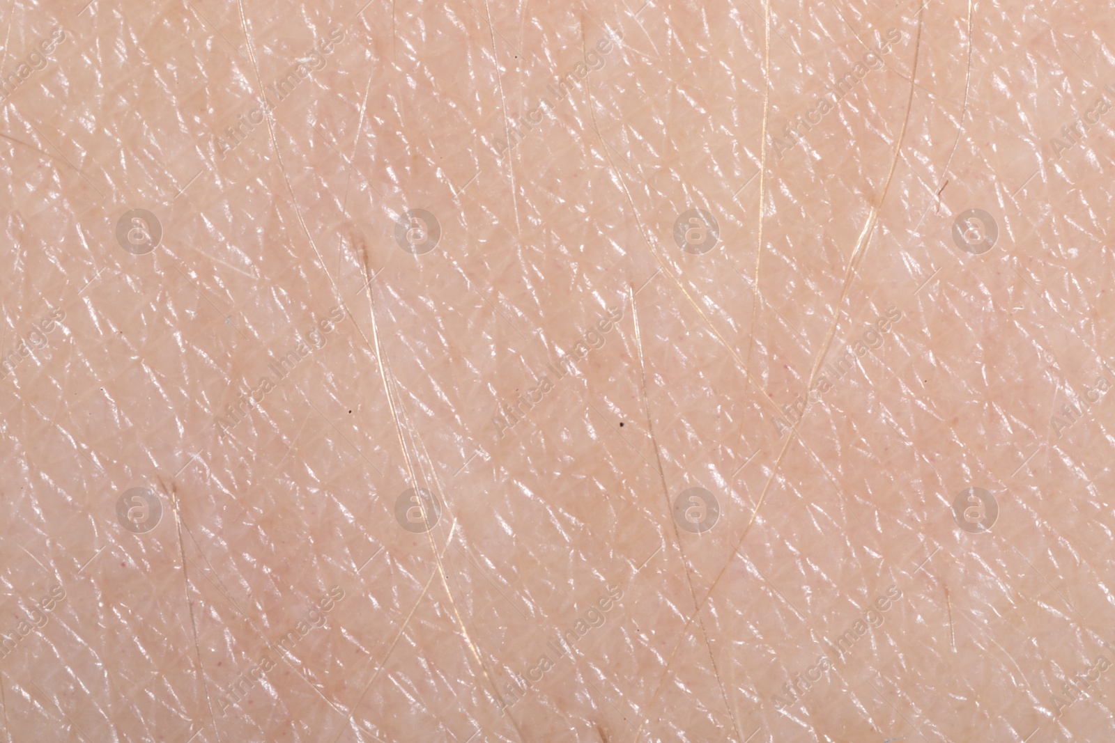 Macro view of human skin as background Photo of Macro view of human skin as background