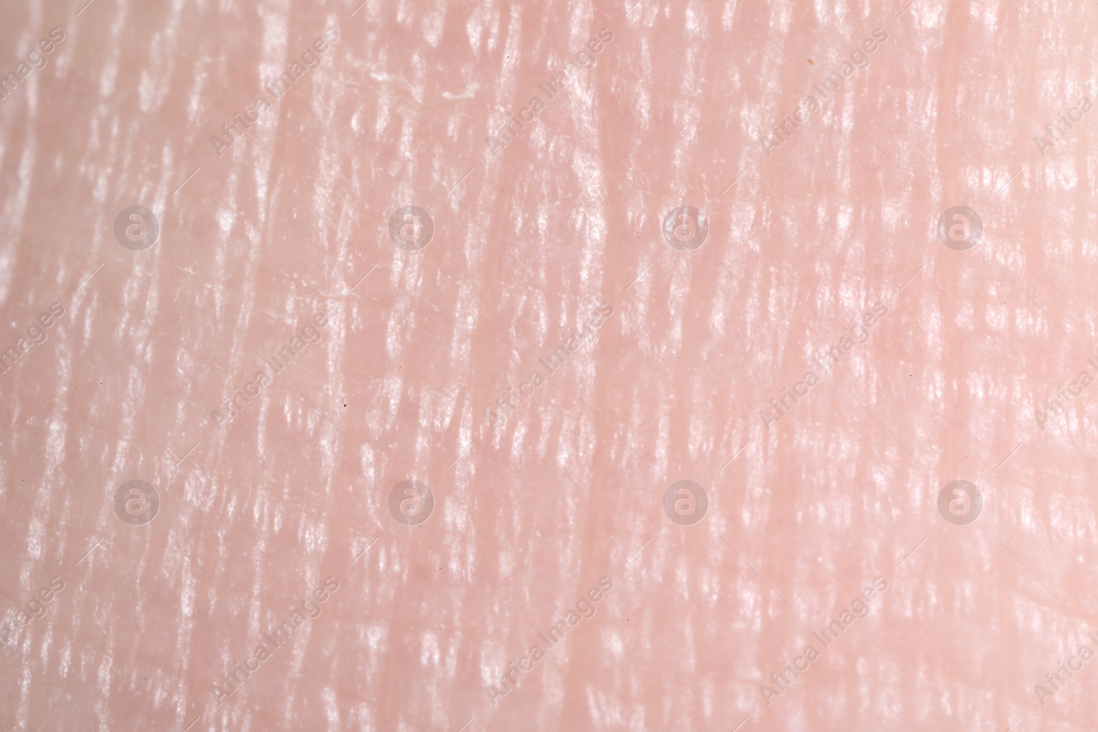 Macro view of human skin as background Photo of Macro view of human skin as background