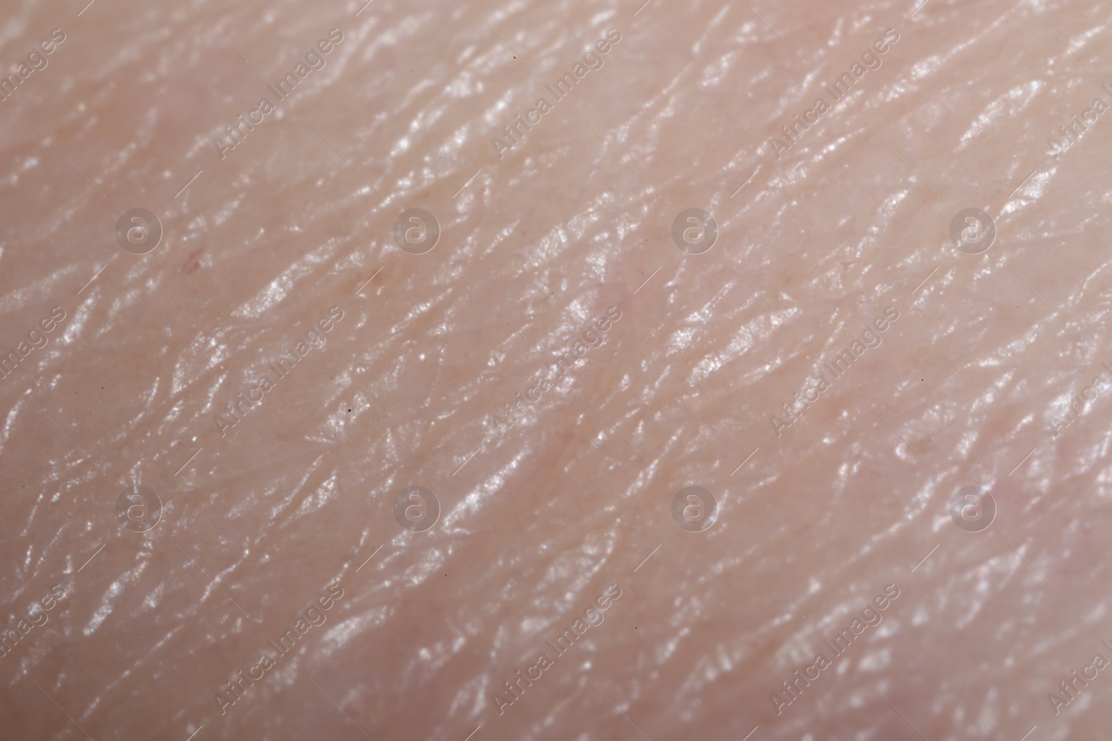 Macro view of human skin as background Photo of Macro view of human skin as background