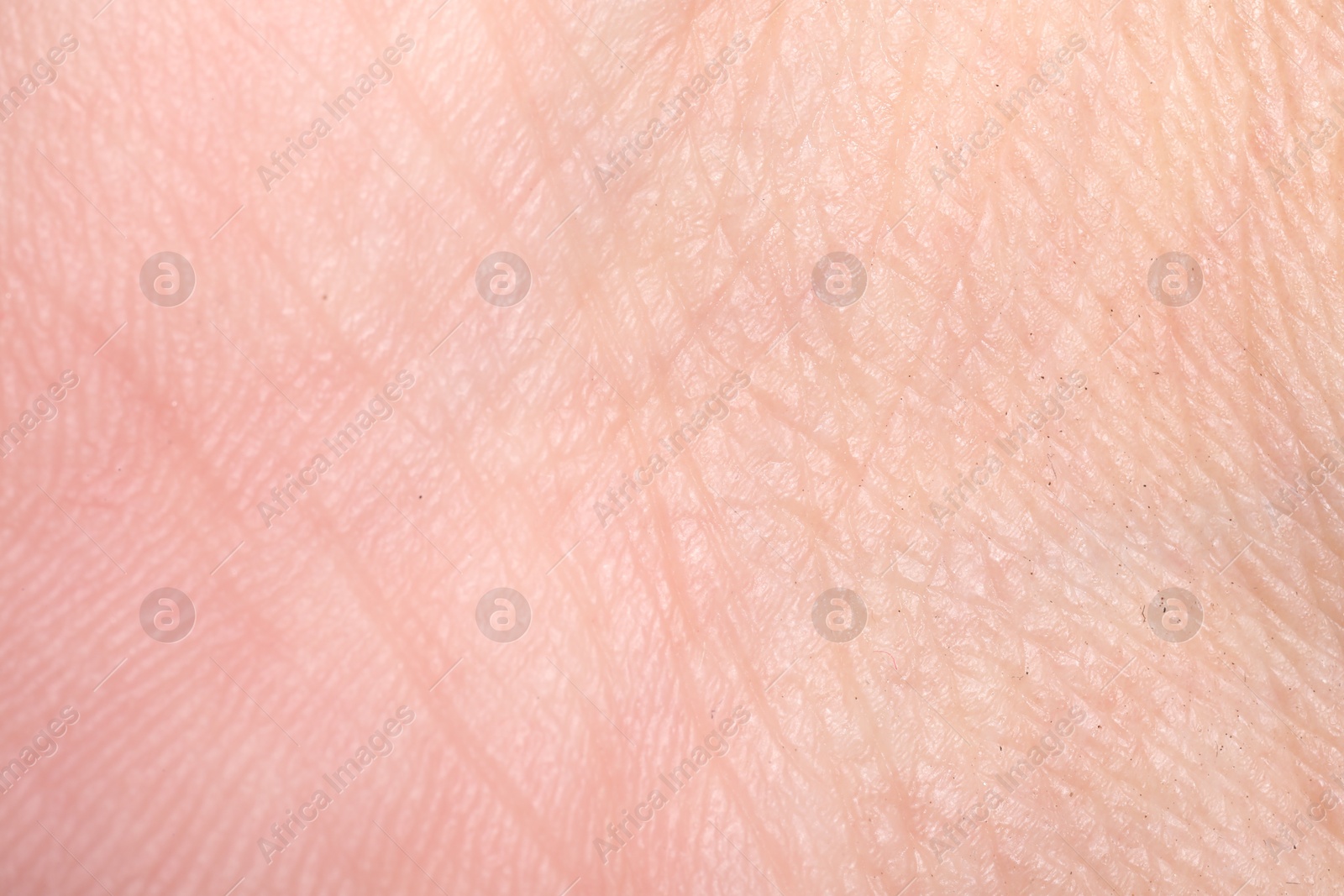 Macro view of human skin with wrinkles as background Photo of Macro view of human skin with wrinkles as background