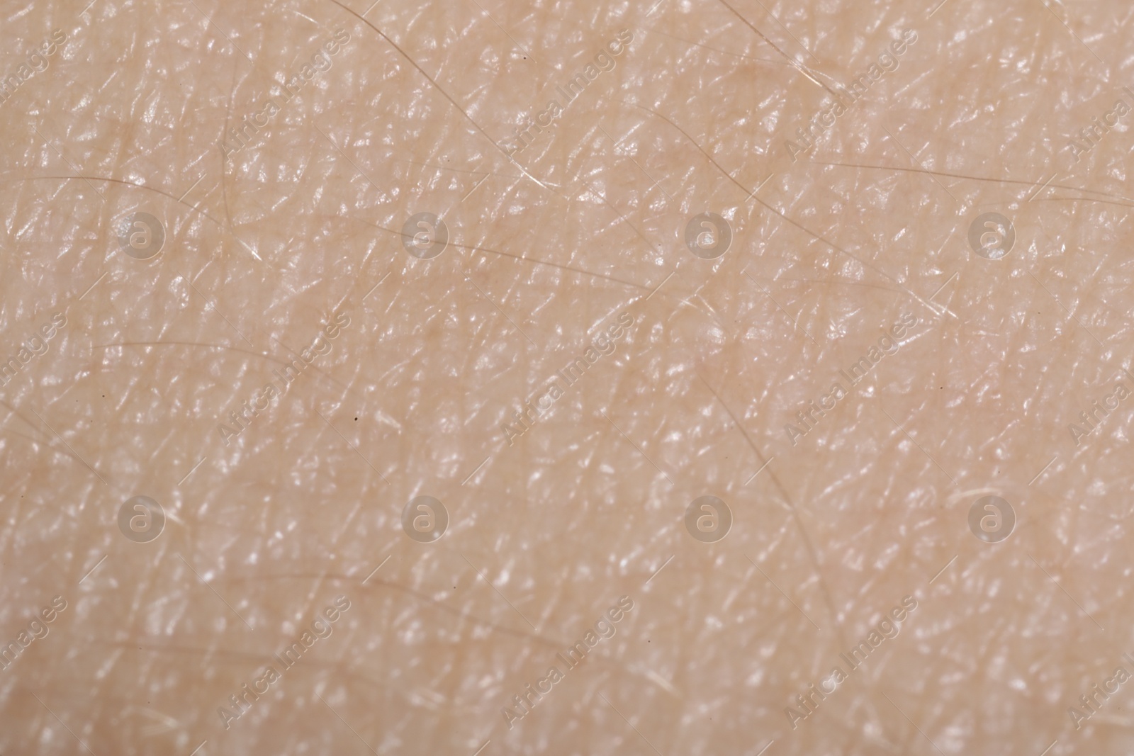 Macro view of human skin as background Photo of Macro view of human skin as background