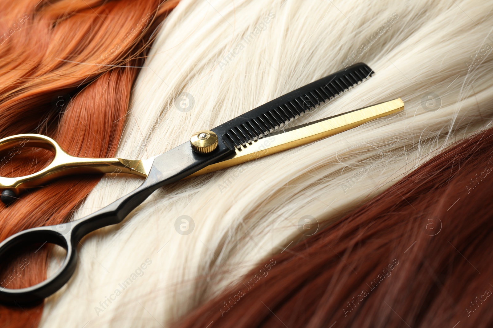 Strands of different beautiful hair and hairdresser's scissors, closeup Photo of Strands of different beautiful hair and hairdresser's scissors, closeup