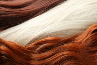 Photo of Strands of different beautiful hair as background, closeup