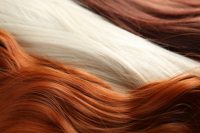 Photo of Strands of different beautiful hair as background, closeup