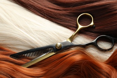 Photo of Strands of different beautiful hair and hairdresser's scissors, closeup