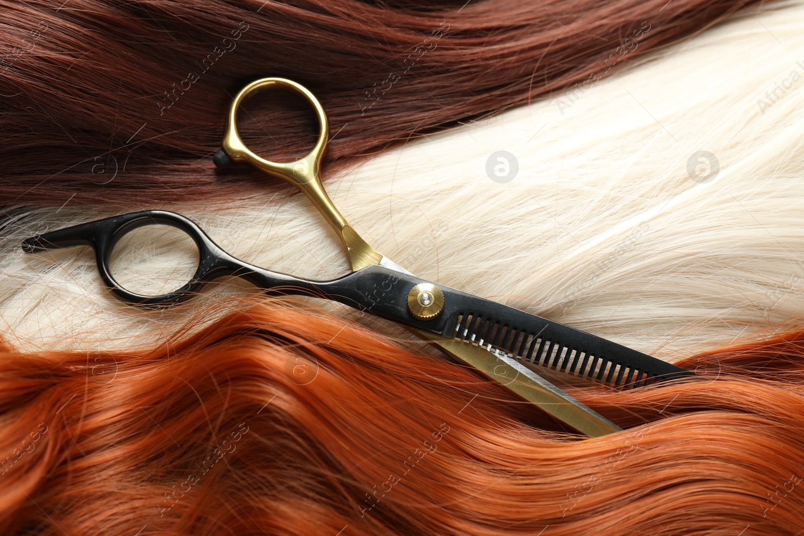 Strands of different beautiful hair and hairdresser's scissors, above view Photo of Strands of different beautiful hair and hairdresser's scissors, above view