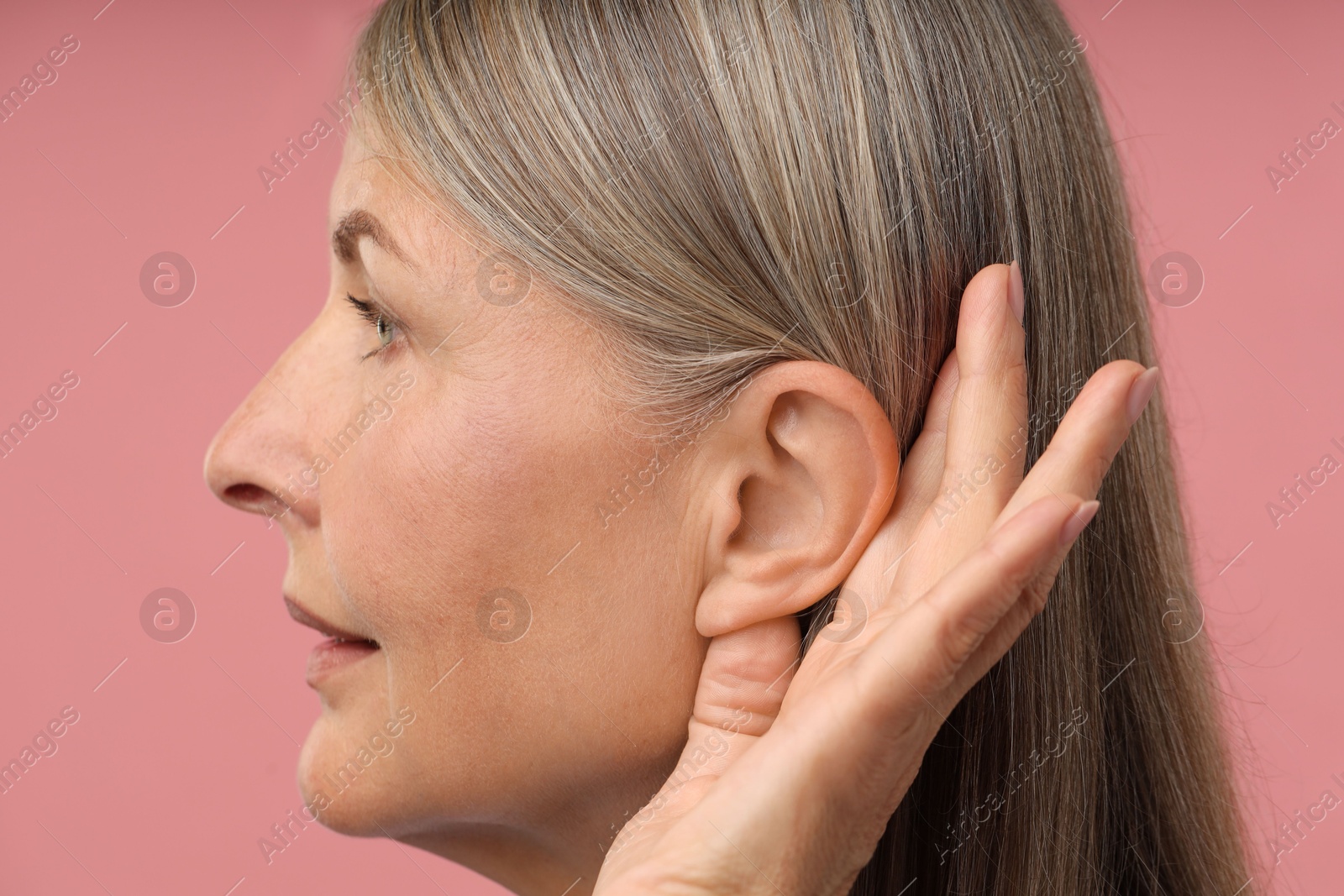 Sound. Senior woman showing hand to ear gesture on pink background Photo of Sound. Senior woman showing hand to ear gesture on pink background