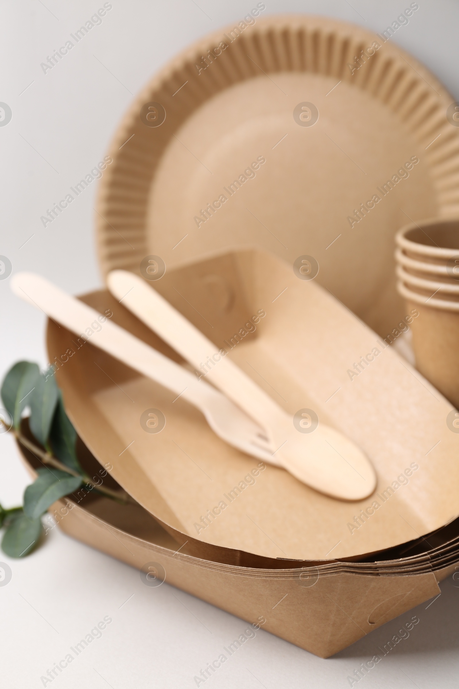 Set of disposable tableware and green leaves on light grey background, closeup Photo of Set of disposable tableware and green leaves on light grey background, closeup