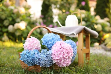 Photo of Beautiful bouquet of hydrangea flowers in wicker basket and stool on green grass outdoors, closeup