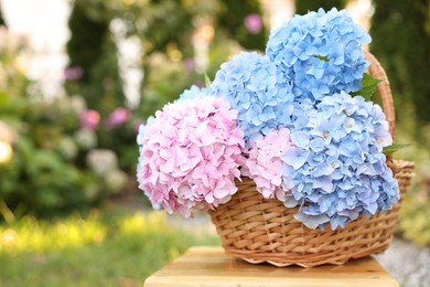 Photo of Beautiful bouquet of hydrangea flowers in wicker basket on wooden stool outdoors, closeup. Space for text