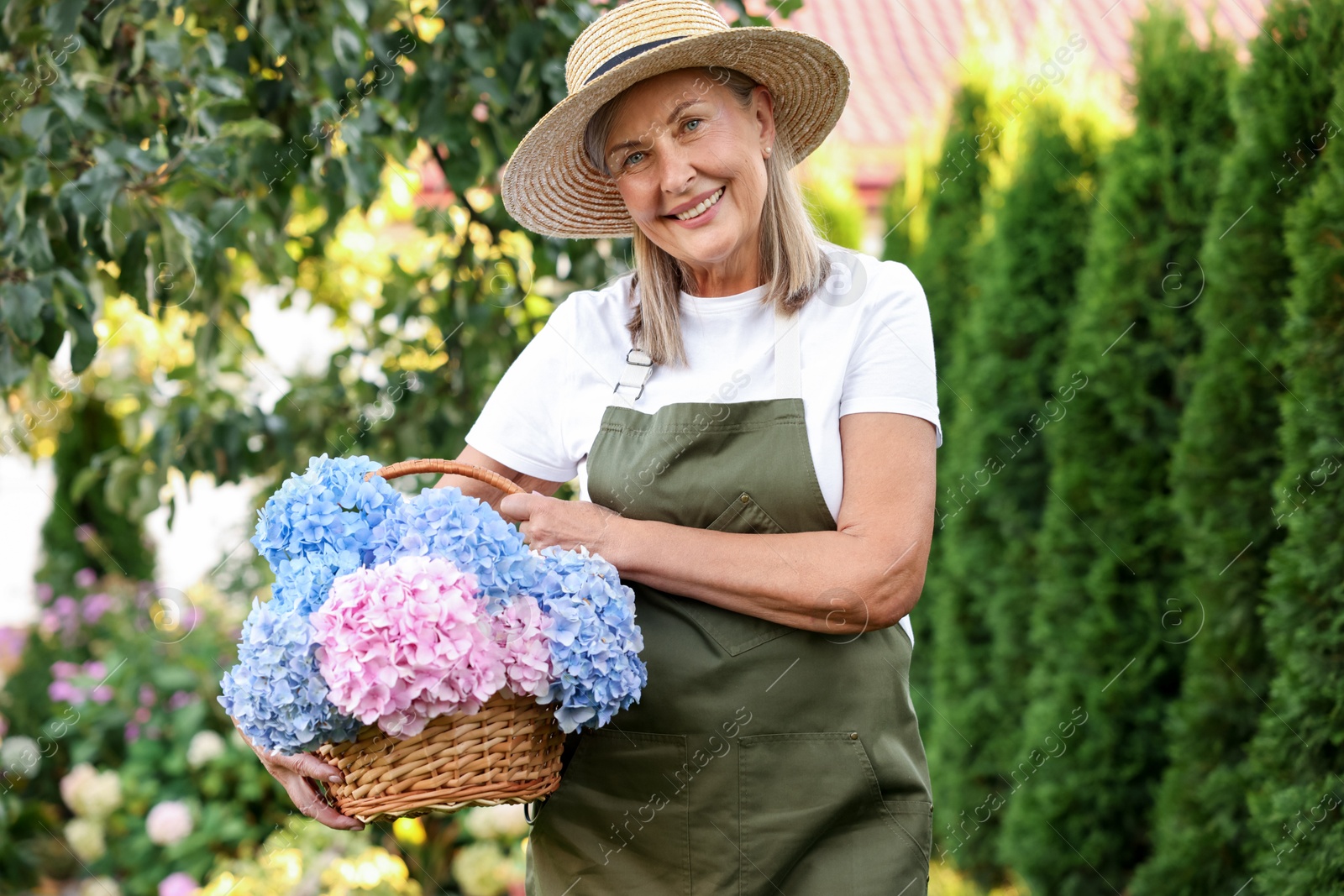 Senior woman with wicker basket of flowers in garden Photo of Senior woman with wicker basket of flowers in garden