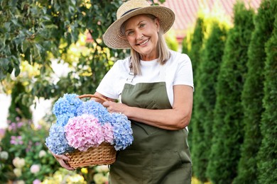 Photo of Senior woman with wicker basket of flowers in garden