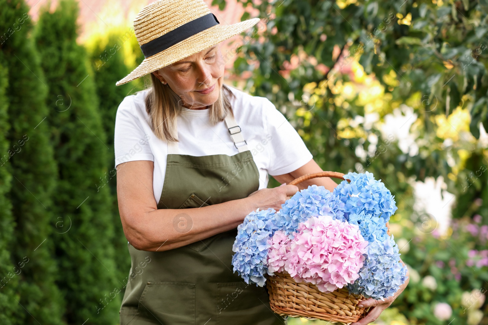Senior woman with wicker basket of flowers in garden Photo of Senior woman with wicker basket of flowers in garden