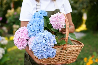 Photo of Senior woman with wicker basket of flowers in garden, closeup