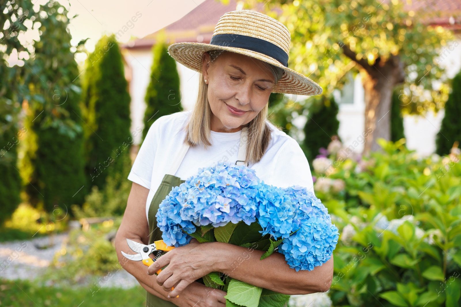 Photo of Senior woman with beautiful bouquet of flowers and pruner in garden