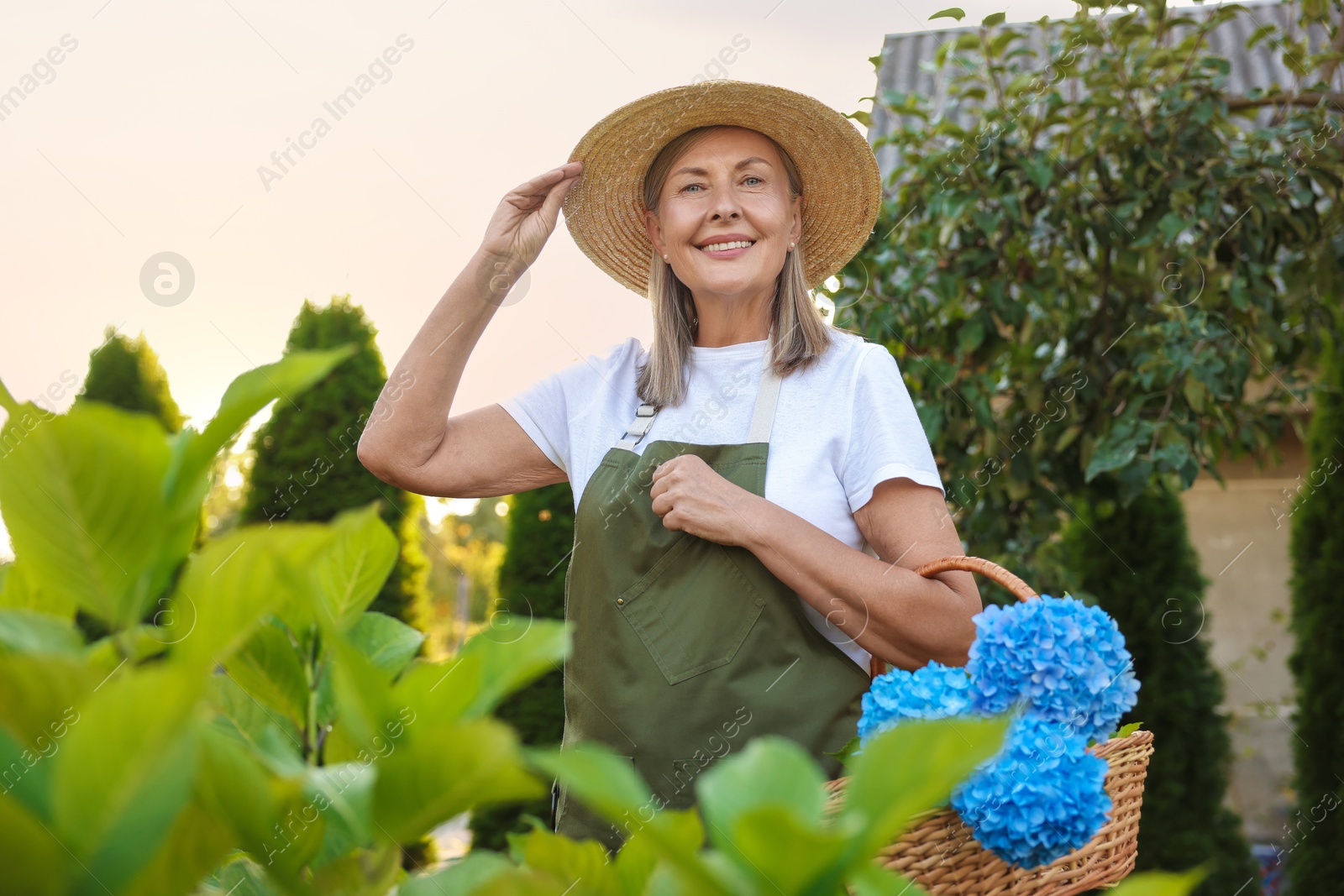 Senior woman with wicker basket of flowers in garden Photo of Senior woman with wicker basket of flowers in garden