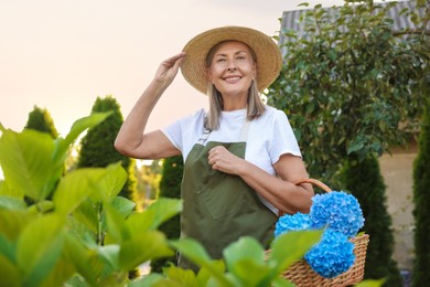 Photo of Senior woman with wicker basket of flowers in garden